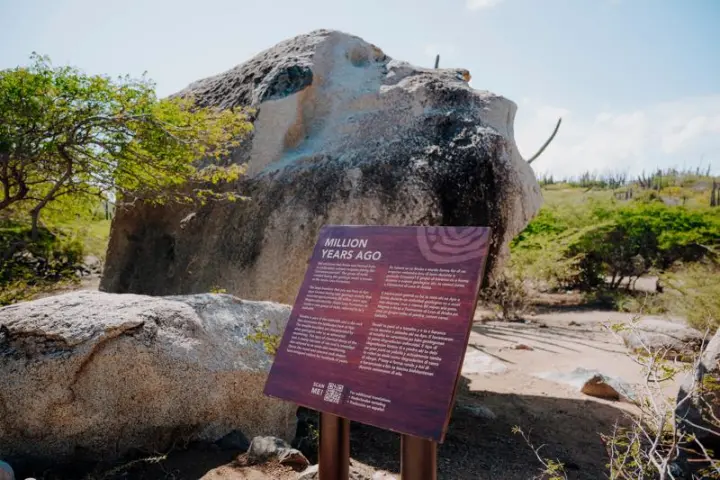 Historical sign titled 'Million Years Ago' in front of large rocks and desert vegetation under a blue sky.