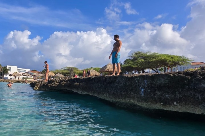 People stand on a rocky shore above clear blue water with a beach and palm trees in the background.